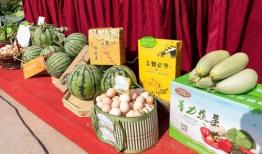 淮北爆料吃瓜事件真相,揭秘背后真相与真相背后的真相