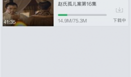 搜狐视频如何下载,轻松掌握视频下载方法