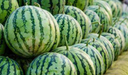 全国各地吃瓜爆料资源,吃瓜爆料一网打尽